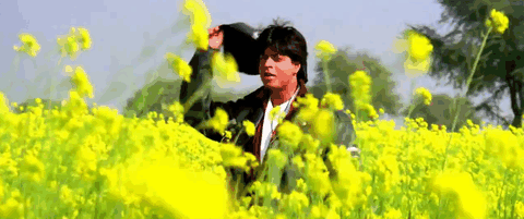 DDLJ 